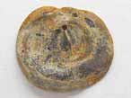 Oichnus simplex biorosion de coquille fossile du jurassique Boulonnais