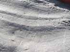 Ichnofossiles: pistes, terriers, traces fossiles du jurassique Boulonnais