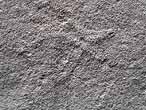 Asteriacites : Ichnofossile du jurassique Boulonnais
