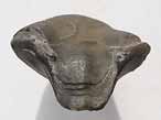 Brachiopode fossile : Trbratule du jurassique Boulonnais
