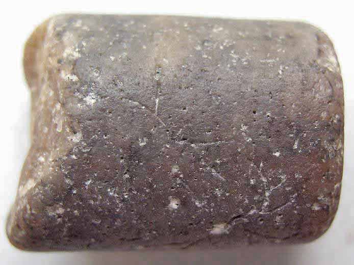 Cylindroteuthis : rostre  blemnite - Fossiles jurassique boulonnais
