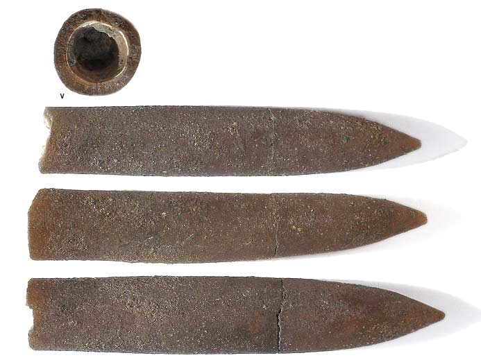 Bélemnite: rostre jurassique Boulonnais