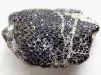 Fossile de Crustac Eryma du jurassique Boulonnais