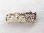 Fossile de Crustac Eryma du jurassique Boulonnais
