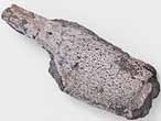 Fossile de Crustac Eryma du jurassique Boulonnais