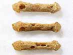 Sclérite Rhabdotites d'Holothurie fossile du jurassique Boulonnais