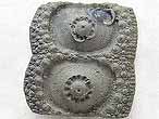 Oursin rgulier Cidaroida Nenoticidaris fossile du jurassique Boulonnais