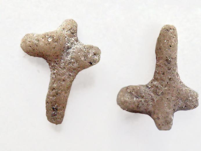 Psammaster davidsoni : osselets fossiles Astrie jurassique Boulonnais