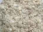 Lamellibranche fossile du jurassique boulonnais