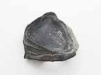Huitre fossile Ostrea moreana du jurassique boulonnais