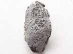 Moule Musculus autissiodorensis fossile du jurassique boulonnais