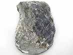 Isognomon (Perna) fossile du jurassique boulonnais