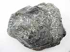 Isognomon (Perna) fossile du jurassique boulonnais