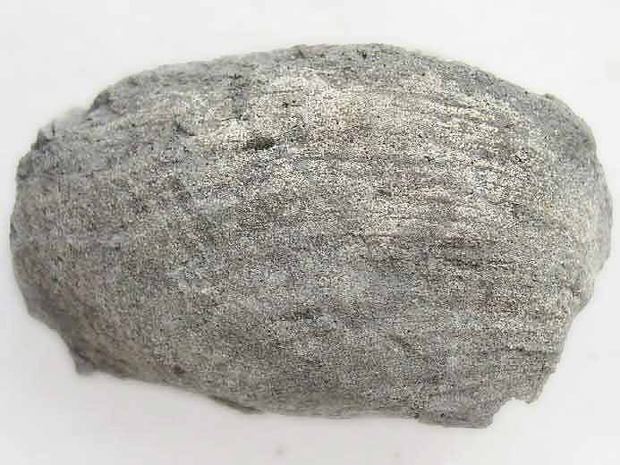 Pleuromya tellina - fossile jurassique Boulonnais
