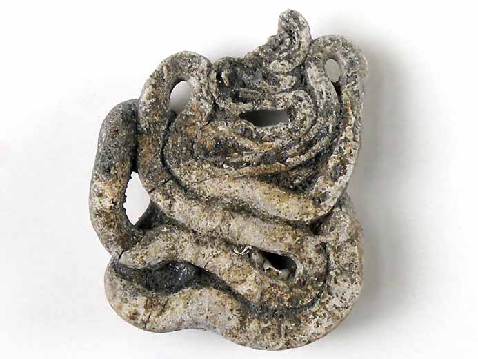 Vers Glomerula gordialis serpentiforme fossile jurassique Boulonnais