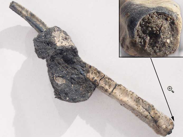 Vers Nogrobs / Tetraserpula jurassique Boulonnais