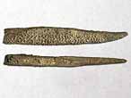 Asteracanthus : aiguillon fossile du jurassique Boulonnais COPYRIGHT A.BOUVEUR