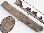 Chimre : aiguillon fossile du jurassique Boulonnais