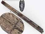 Chimre : aiguillon fossile du jurassique Boulonnais