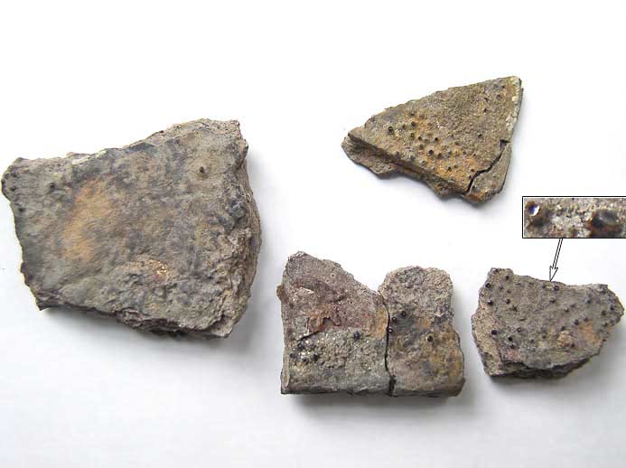 image dbris cranien Lepidotes? jurassique Boulonnais