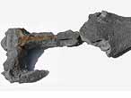 Crâne de Steneosaurus fossile jurassique BoulonnaisIMAGE SOUMISE A COPYRIGHT