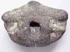 Os de crane Reptile fossile jurassique Boulonnais