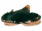 Dent de Requin Paracestracion fossile du jurassique Boulonnais, COPYRIGHT Y.JOUQUAN
