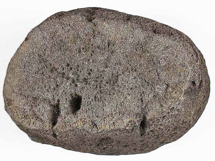 Os fossile divers jurassique Boulonnais