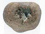 Os fossile divers du jurassique Boulonnais