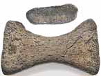 Os fossile divers du jurassique Boulonnais