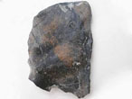caille de Lepidotes sp fossile du jurassique Boulonnais