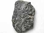 Plaque fossile de Reptile divers du jurassique Boulonnais