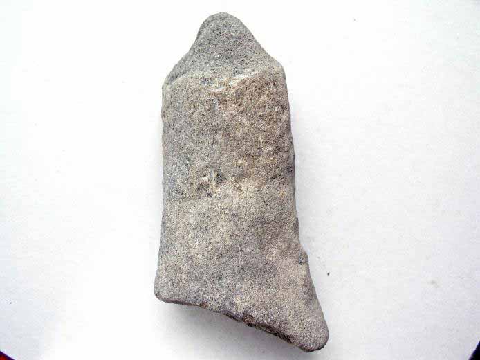 Sauroptrygien: Humrus ou Fmur fossile jurassique Boulonnais
