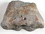 Ptrosaurien : humrus - fossile du jurassique Boulonnais