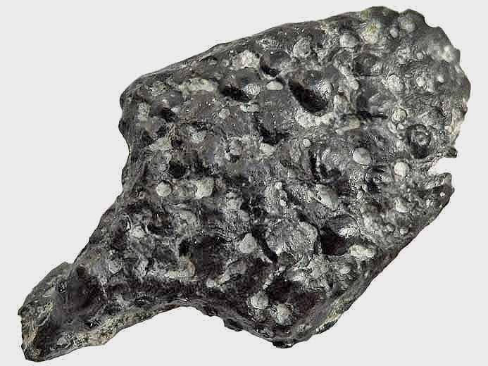 Mchoire de Reptile fossile jurassique Boulonnais