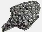 mchoire fossile de reptile du jurassique Boulonnais