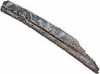 Mchoire prmaxillaire Ichthyosaurien - fossile du jurassique Boulonnais COPYRIGHT P.TITREN