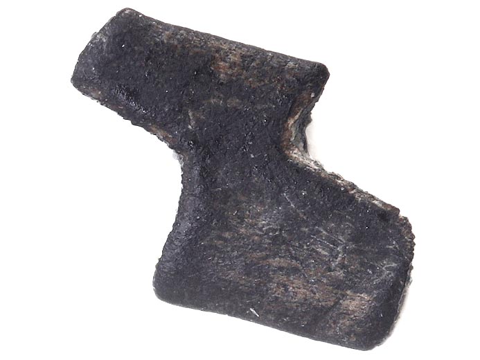 lment de rayon de nageoire de poisson fossile Jurassique du Boulonnais