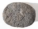 Phalanges fossiles Reptiles du jurassique Boulonnais