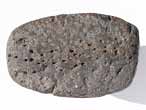 Phalange fossile de Sauropterygien du jurassique Boulonnais