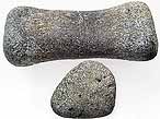 Phalanges fossiles Reptiles du jurassique Boulonnais