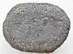 Phalange fossile d'Ichthyosaurien du jurassique Boulonnais