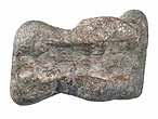 Vertbre de Crocodile fossile indtermin du jurassique Boulonnais