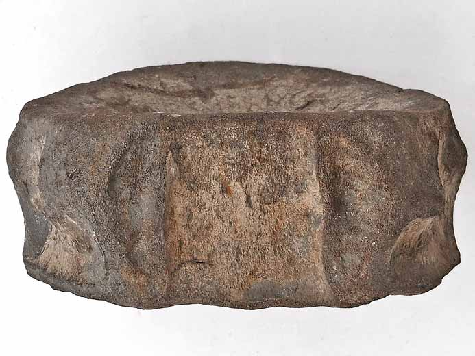 vertbre fossile Ophtalmosauridae jurassique Boulonnais