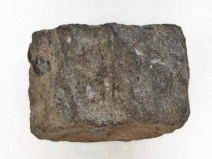 Ophtalmosauridae atlas et axis Vertbres fossile jurassique Boulonnais