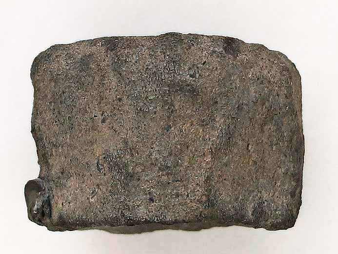 Ophtalmosauridae atlas et axis Vertbres fossile jurassique Boulonnais