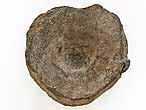 Ophtalmosauridae : atlas & axis Fossile du jurassique Boulonnais