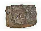 Ophtalmosauridae : atlas & axis Fossile du jurassique Boulonnais