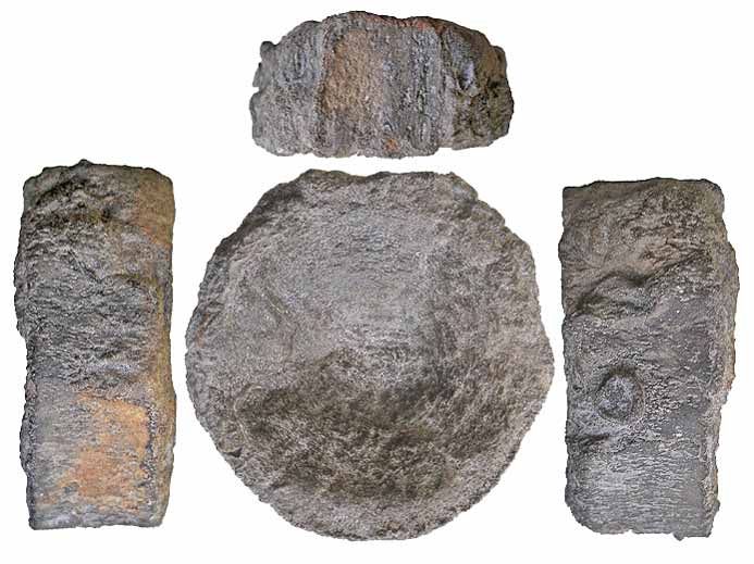 Vertbre tratologique d'Ichthyosaurien fossile du jurassique Boulonnais