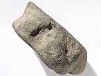 Vertebres fossiles d'Ichthyosauriens du jurassique Boulonnais